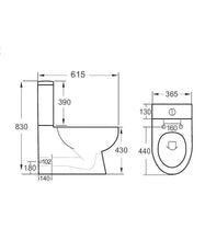 Load image into Gallery viewer, Roma Fully Shrouded & Clean On Toilet