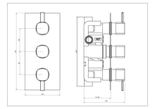 Load image into Gallery viewer, Milan Triple Concealed Shower Valve
