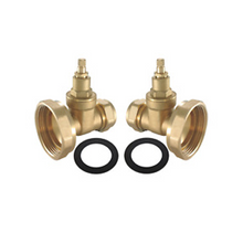Load image into Gallery viewer, Pump Valves GATE TYPE (Pair) CxC
